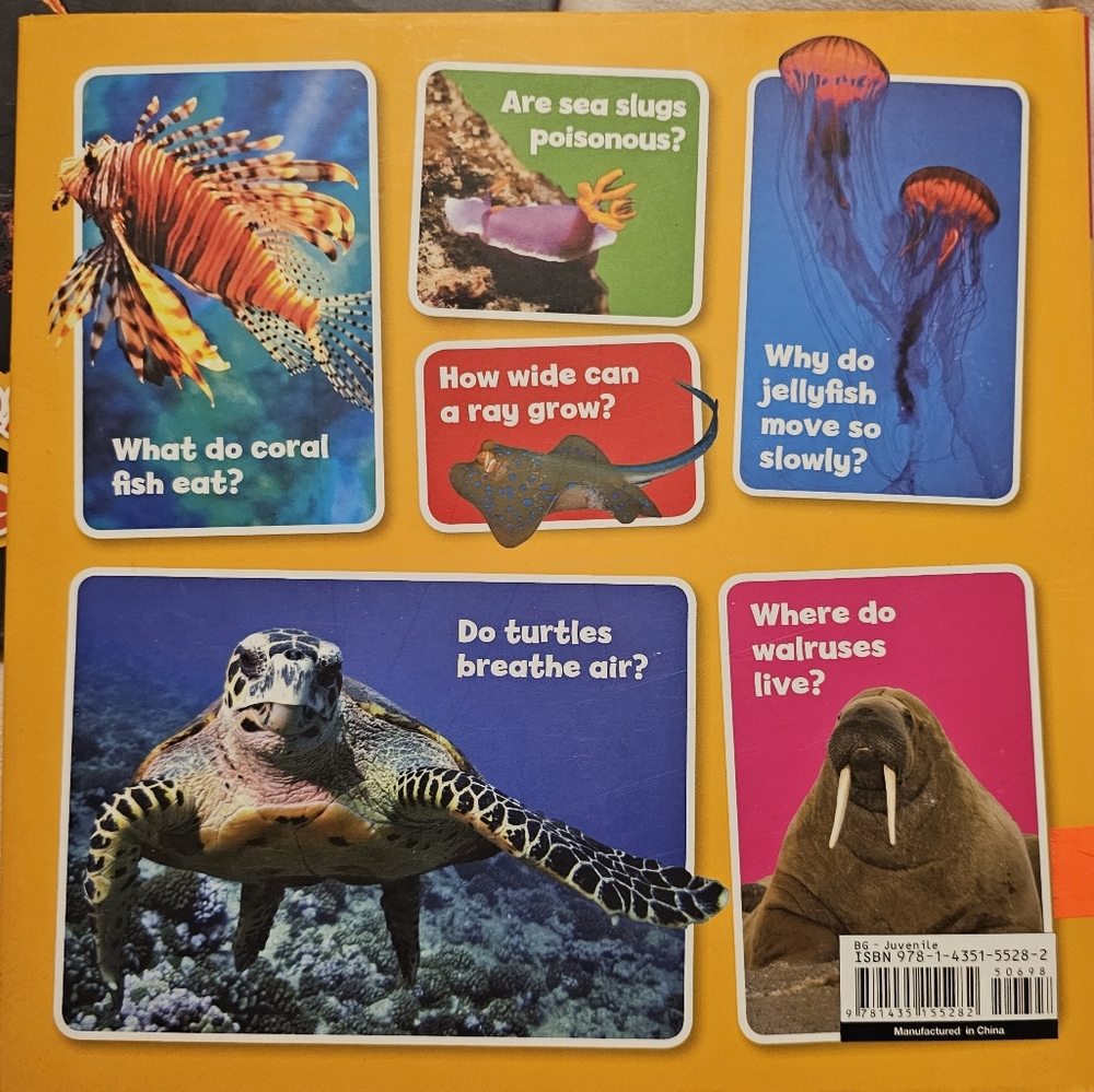 My Little Book Set - Weather, Ocean, Dinosaurs And Volcanos - Picture 7 of 9